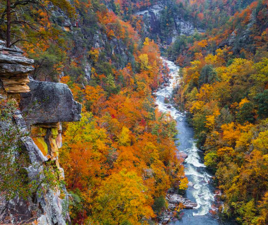 Tallulah River 