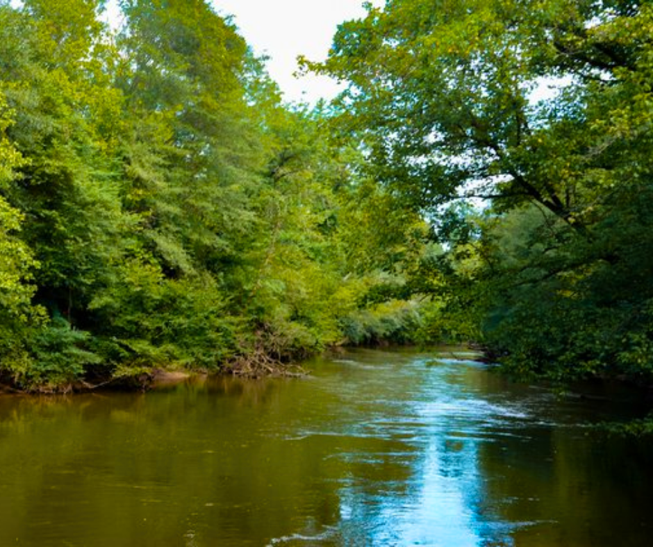 Etowah River